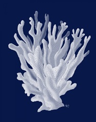 Coral 17 White on Navy Blue