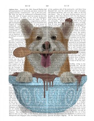 Corgi Cake Bowl Book Print
