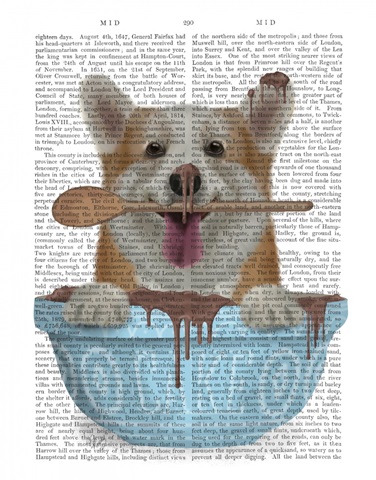 Corgi Cake Bowl Book Print