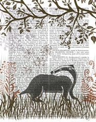 Country Lane Badger 2, Earth