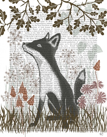 Country Lane Fox 1, Earth