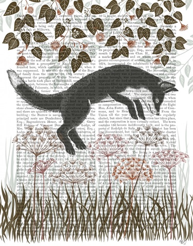 Country Lane Fox 4, Earth