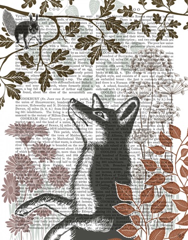 Country Lane Fox 5, Earth