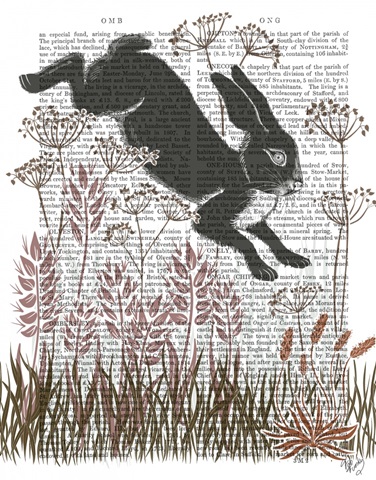 Country Lane Hare 5, Earth