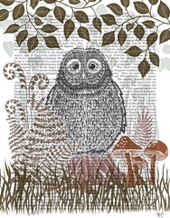Country Lane Owl 2, Earth