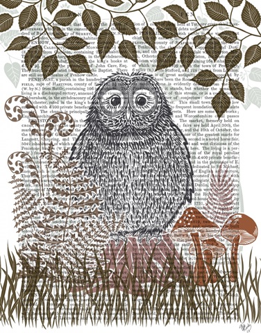 Country Lane Owl 2, Earth