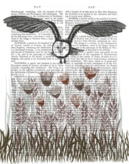 Country Lane Owl 4, Earth