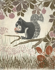 Country Lane Squirrel 1, Earth