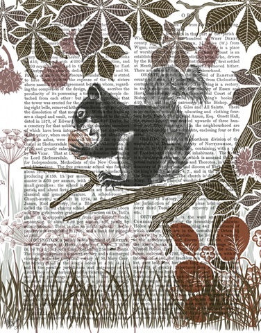 Country Lane Squirrel 1, Earth