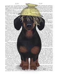 Dachshund Colander Book Print
