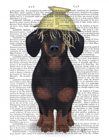 Dachshund Colander Book Print