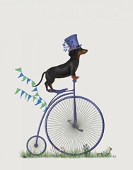 Dachshund on Penny Farthing