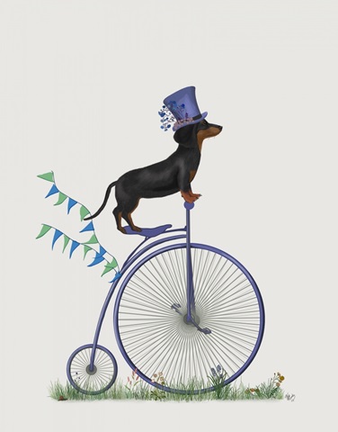 Dachshund on Penny Farthing