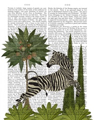 Dancing Zebra, Animalia Book Print