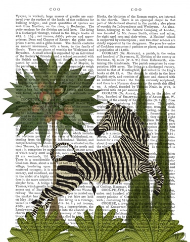 Dancing Zebra, Animalia Book Print