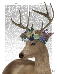 Deer Bohemian 1 Portrait