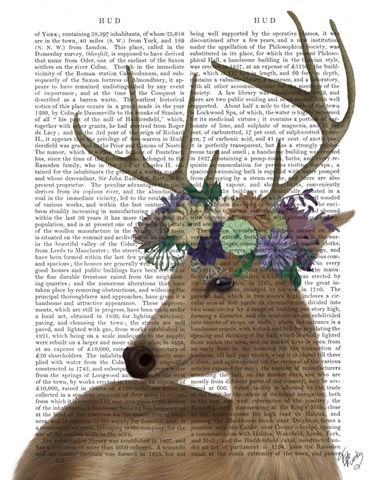 Deer Bohemian 1 Portrait