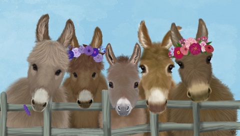 Donkey Herd at Fence 2