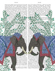 Elephant Twins, Animalia Book Print