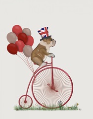 English Bulldog on Penny Farthing