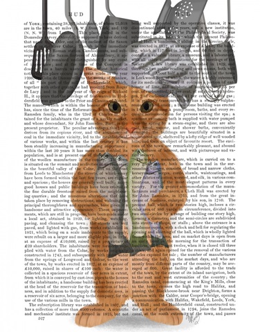 Ginger Cat Fish Chef, Full Book Print