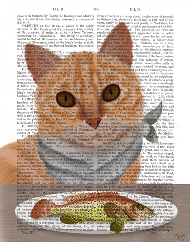 Ginger Cat Fish Dinner Book Print