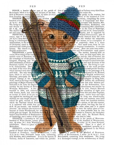 Ginger Ski Cat Book Print