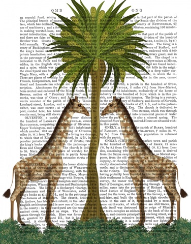 Giraffe Twins, Animalia Book Print