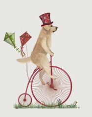 Golden Retriever on Penny Farthing