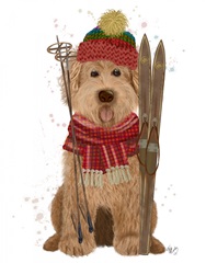 Goldendoodle Ski Dog