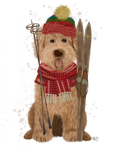 Goldendoodle Ski Dog