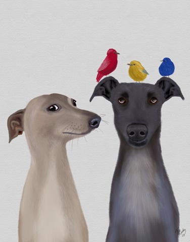 Greyhounds and Birds