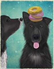 Groenendael Donut Thief