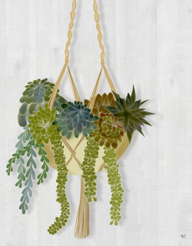 Hanging Basket Succulents 1
