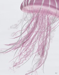 Jellyfish Drift in Pink
