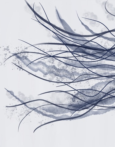 Jellyfish Giant in Blue