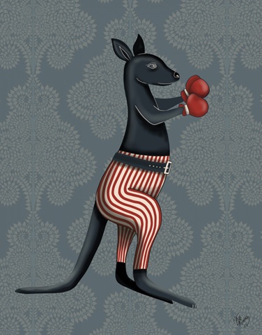 Kangaroo Boxing