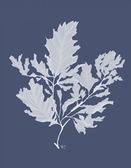 Kelp 1 White on Indigo Blue