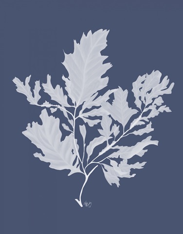 Kelp 1 White on Indigo Blue