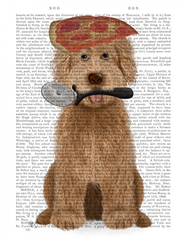 Labradoodle Pizza Book Print