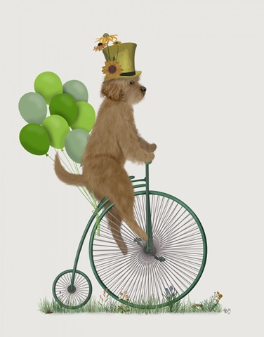 Labradoodle, Gold on Penny Farthing