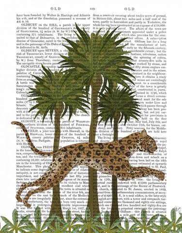 Leaping Leopard, Animalia Book Print