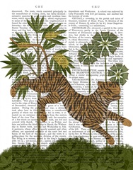 Leaping TIger, Animalia Book Print