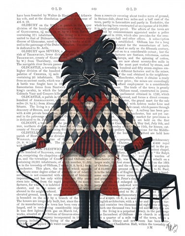 Lion Tamer Book Print