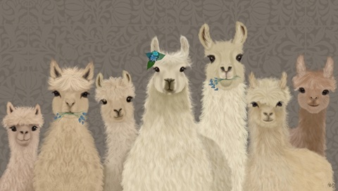 Llama Herd