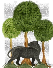 Panther Under Tree, Animalia Book Print