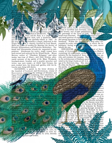 Peacock Garden 1 Book Print