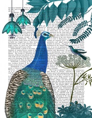 Peacock Garden 2 Book Print