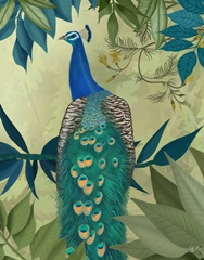 Peacock On Branch