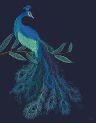 Peacock with Doodle Tail on Blue